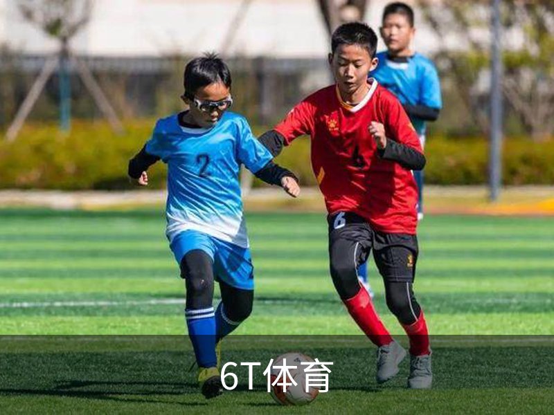 6T体育介绍